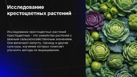 иследовательская работа по биологии по теме крестоцветные