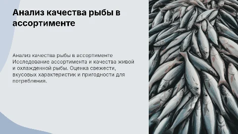 Анализ ассортимента и оценка качества рыбы