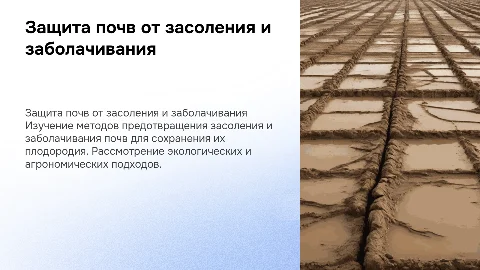 Защита почв от засоления и заболачивания