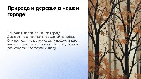 Природа вокруг нас: деревья в нашем городе и их листья