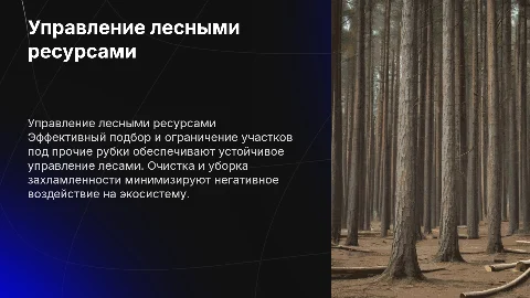 Подбор и отвод участка под прочие рубки: управление лесами
