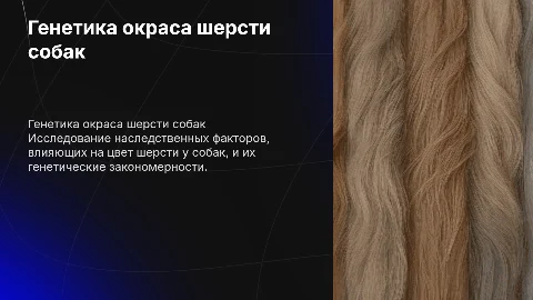Исследовательская работа, генетика наследования окраса шерсти собак