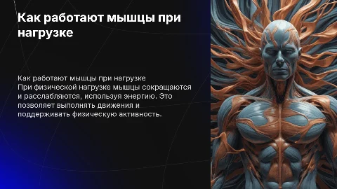 как включаются и как работают мышцы при физической нагрузке