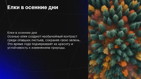 Елки в осеннюю пору