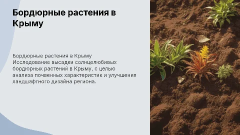 Высадка бордюрных солнцелюбивых растений в Крыму
