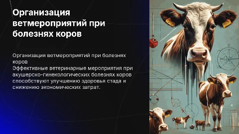 Организация ветеринарных мероприятий при акушерских болезнях коров
