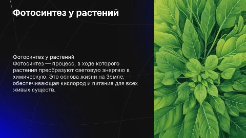 фотосинтез растений 7 класс