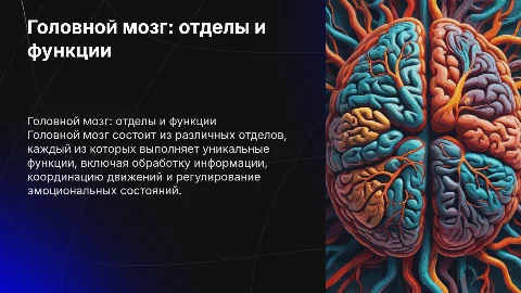 Головной мозг: отделы и их характеристика, функции