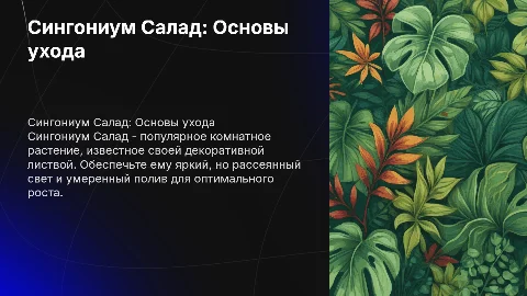 сингониум салад общие сведения и уход
