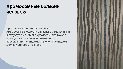 Создание презентации «Хромосомные болезни человека»