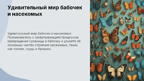 Насекомые для детей 3-4 лет: бабочки и их строение