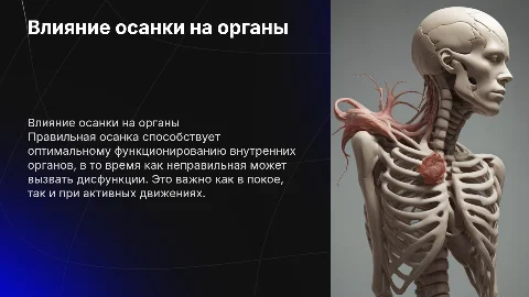 Влияние осанки на функционирование внутренних органов