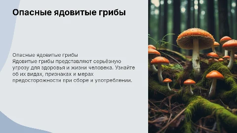 ядовитые грибы