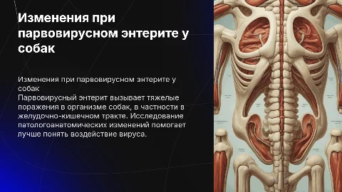 Патологоанатомические изменения при вскрытии собак от парвовируса