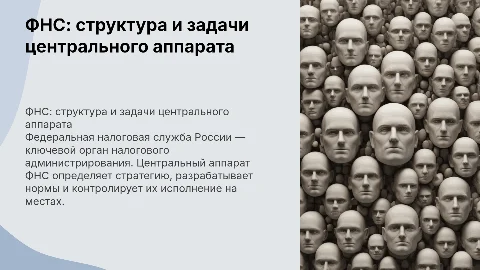 Федеральная налоговая служба: принципы и функции аппарата