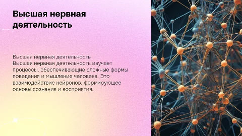 Высшая нервная деятельность