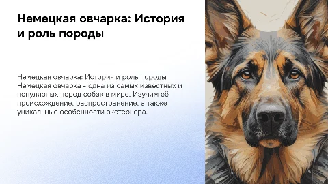 Происхождение и использование породы Немецкая овчарка
