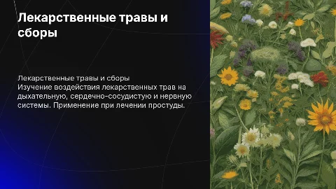 Лекарственные травы и сборы для лечения заболеваний