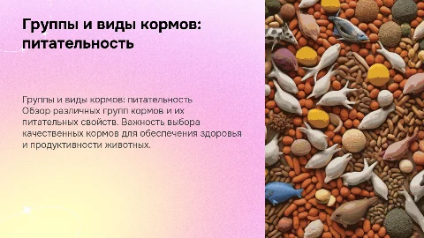 группы и виды кормов, их питательность