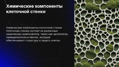 химические компоненты клеточной стенки