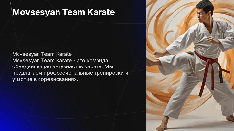 Movsesyan Team Karate https://movsesyanteam.ru/