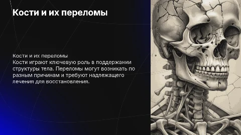 кости и переломы костей