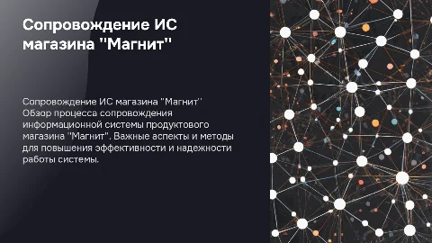 Сопровождение информационной системы магазина 'Магнит'