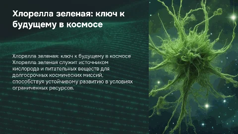 Хлорелла зеленая и ее роль в космосе