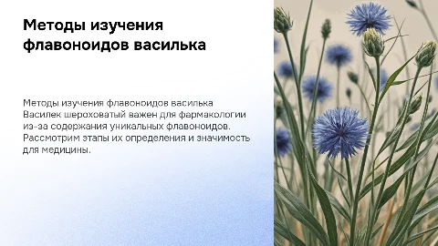 Метод определения флавоноидов василька шероховатого