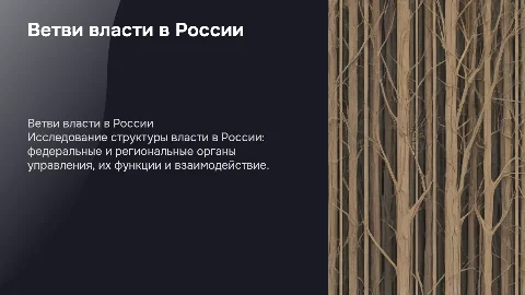 Ветви власти в России: федеральный и региональный уровни