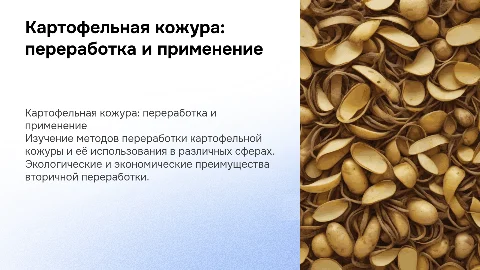 Картофельняа кожура, методы переработки и её использование