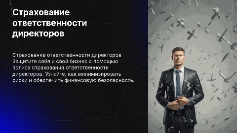 Продающая презентация по страхованию ответственности директоров