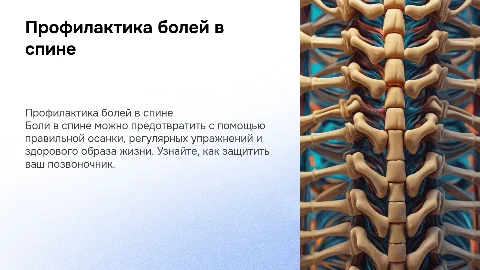 профилактика болей в спине