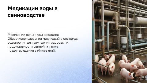 Медикации воды в свиноводстве системы водопоения санации