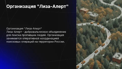 Организация "Лиза-Алерт"