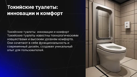 токийские туалеты