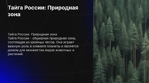 Тайга России, как природная зона