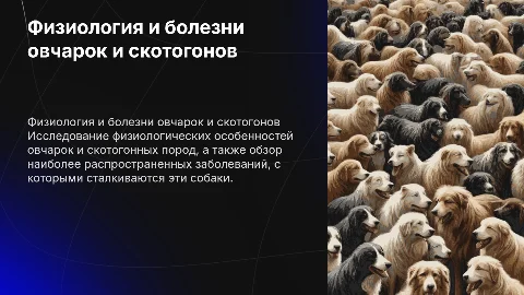 Физиология и заболевания овчарок и скотогонных пород собак