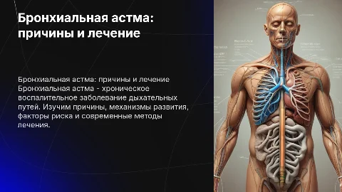 Бронхиальная астма: причины, механизм и лечение заболевания