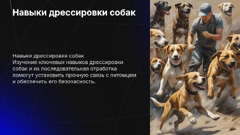 навыки дрессировки собак и порядок их отработки