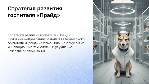 Стратегия развития ветеринарного госпиталя «Прайд» на Ильюшина 3