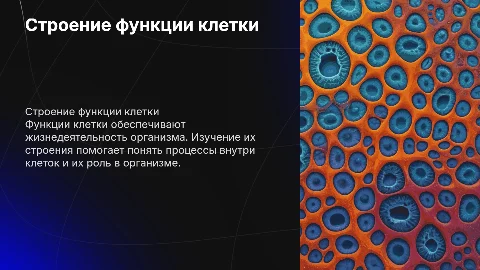 Строение функции клетки
