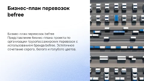 Бизнес-план проекта грузопассажирских перевозок befree
