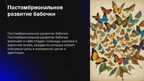 Постэмбрионое развитие бабочки