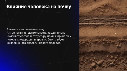 Влияние антропогенной деятельности на почву