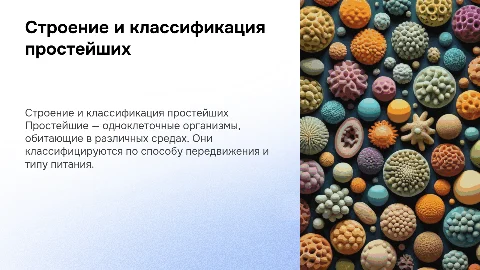 Строение и классификация простейших