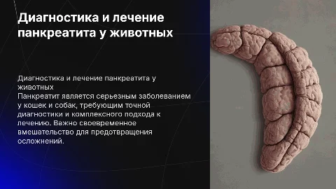 Диагностика и лечение панкреатита у кошек и собак