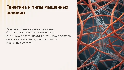 состав мышечных волокон как генетический фактор