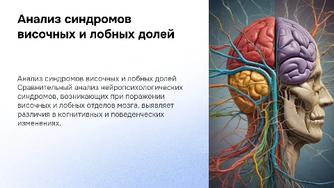 Сравнительный анализ нейропсихологических синдромов мозга