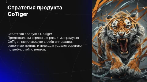 Презентация стратегии продукта GoTiger